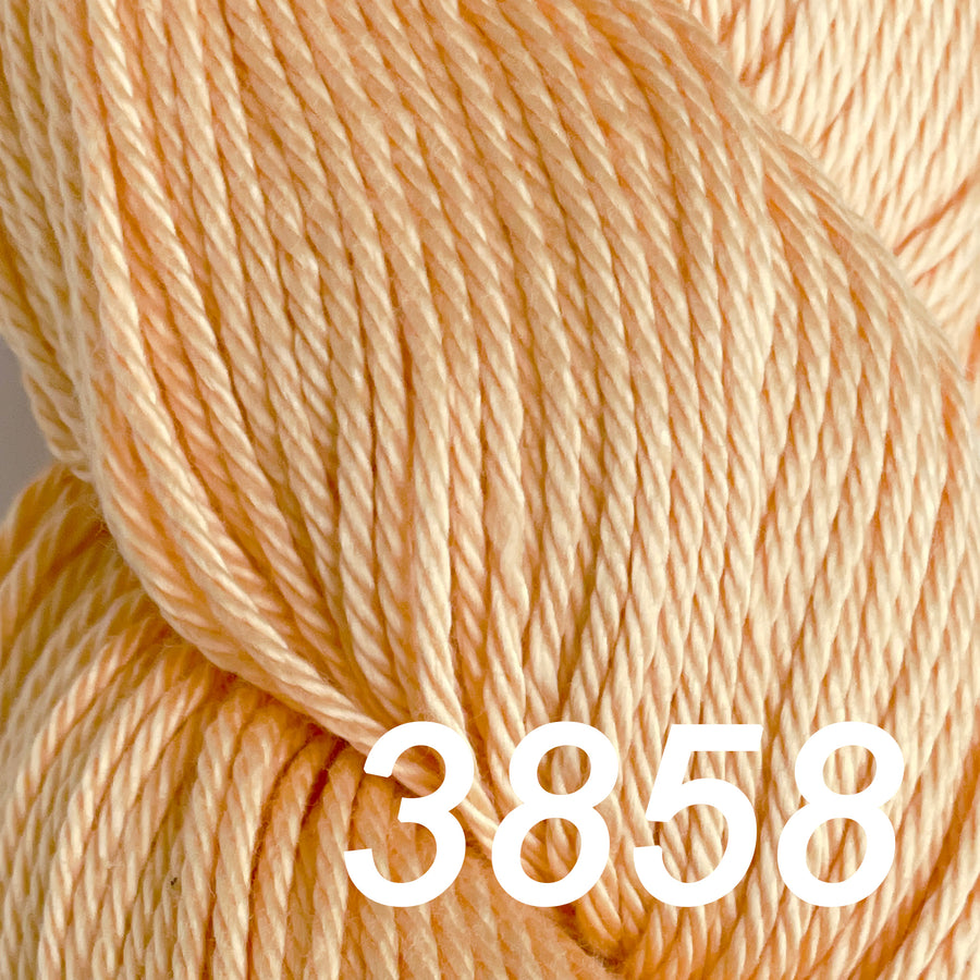 Cascade Yarns - Ultra Pima Yarn - 3858