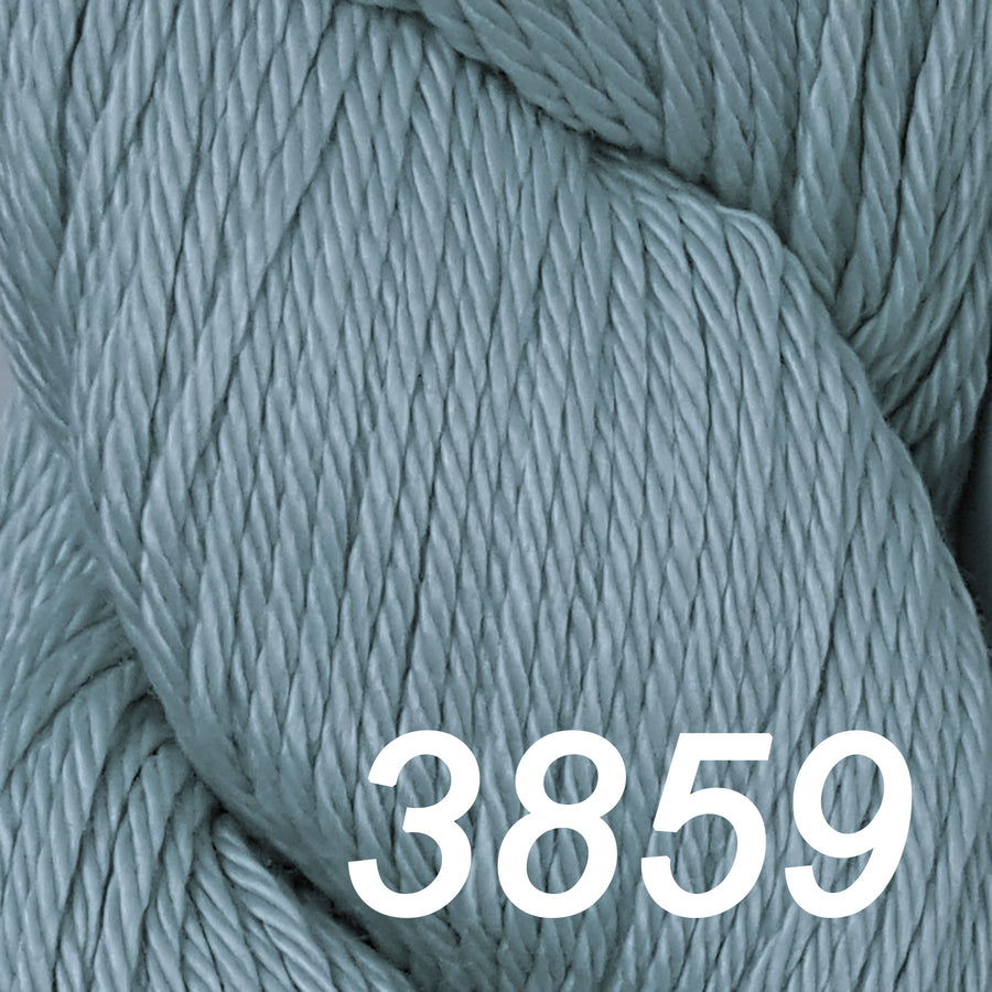 Cascade Yarns - Ultra Pima Yarn - 3859