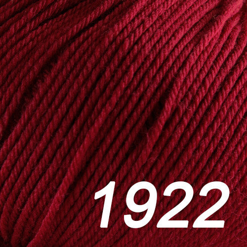 Cascade Yarns - 220 Superwash Yarn - 1922
